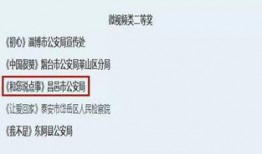 金融诈骗爆料视频大全集,视频大全集深度剖析